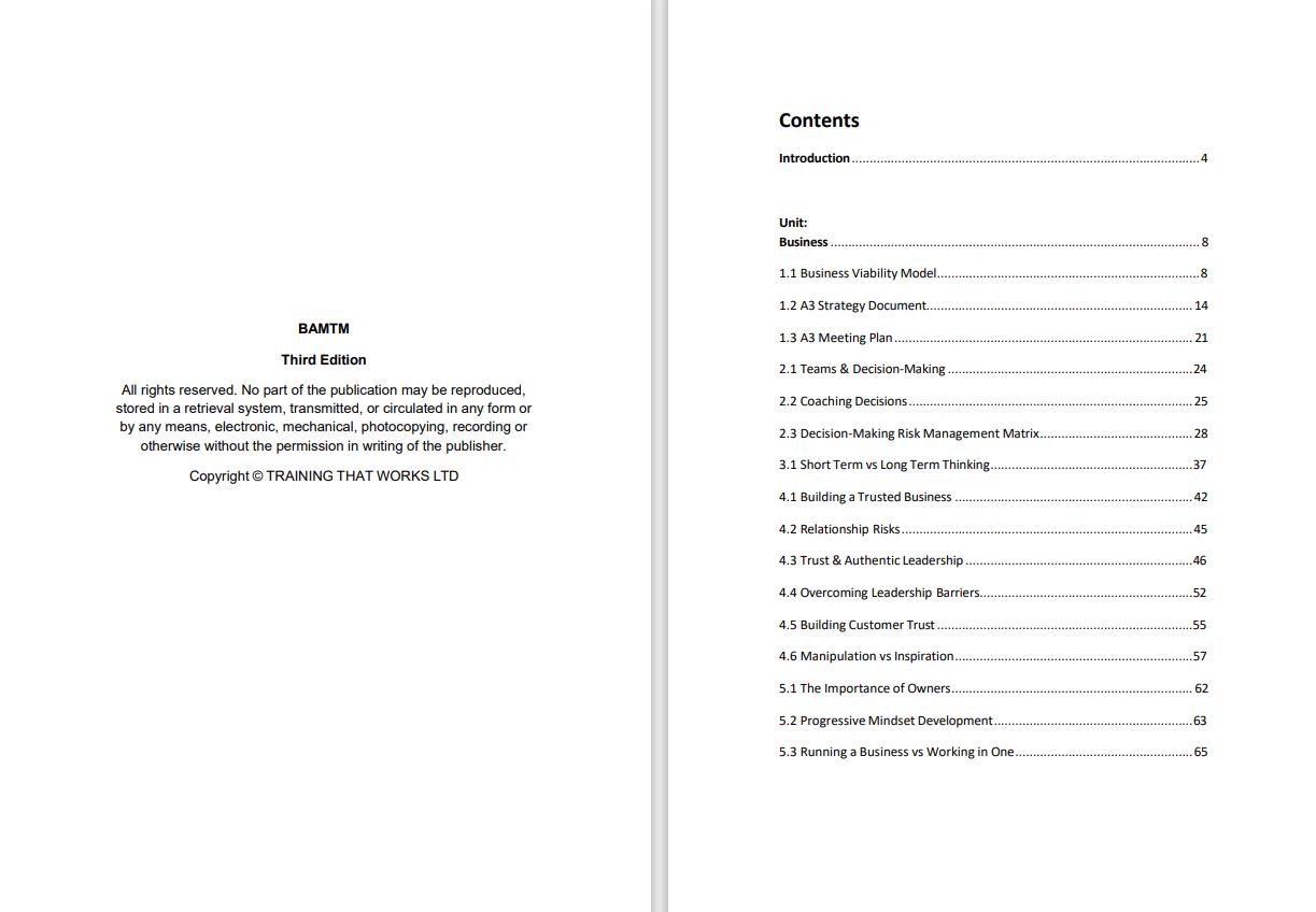 BAMTM The Operational Guide to Managing Your Business