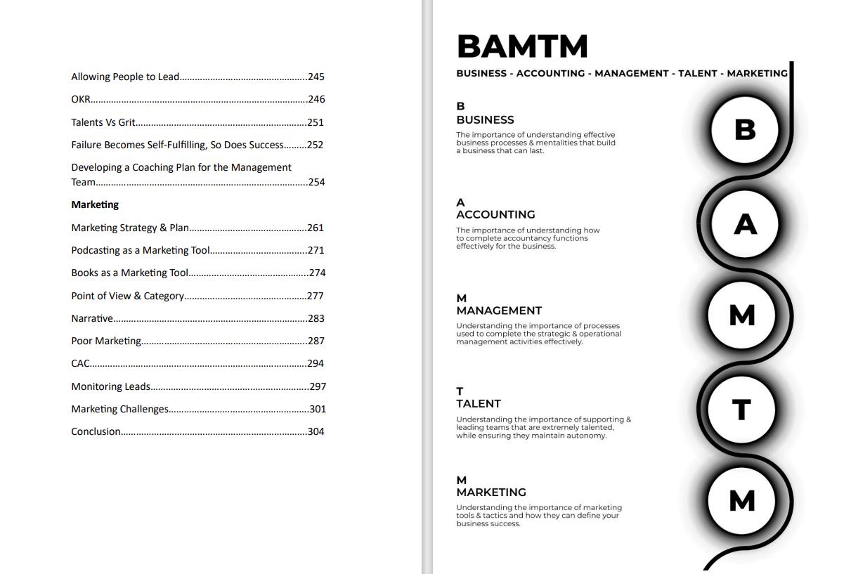 BAMTM - The Strategic Management Guide for Owners, Directors and Senior Management