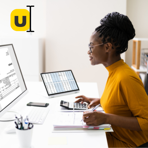 CareerValu® Accountant